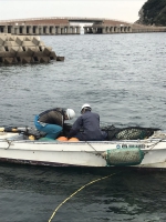 高島海水浴場サメ網撤去作業
